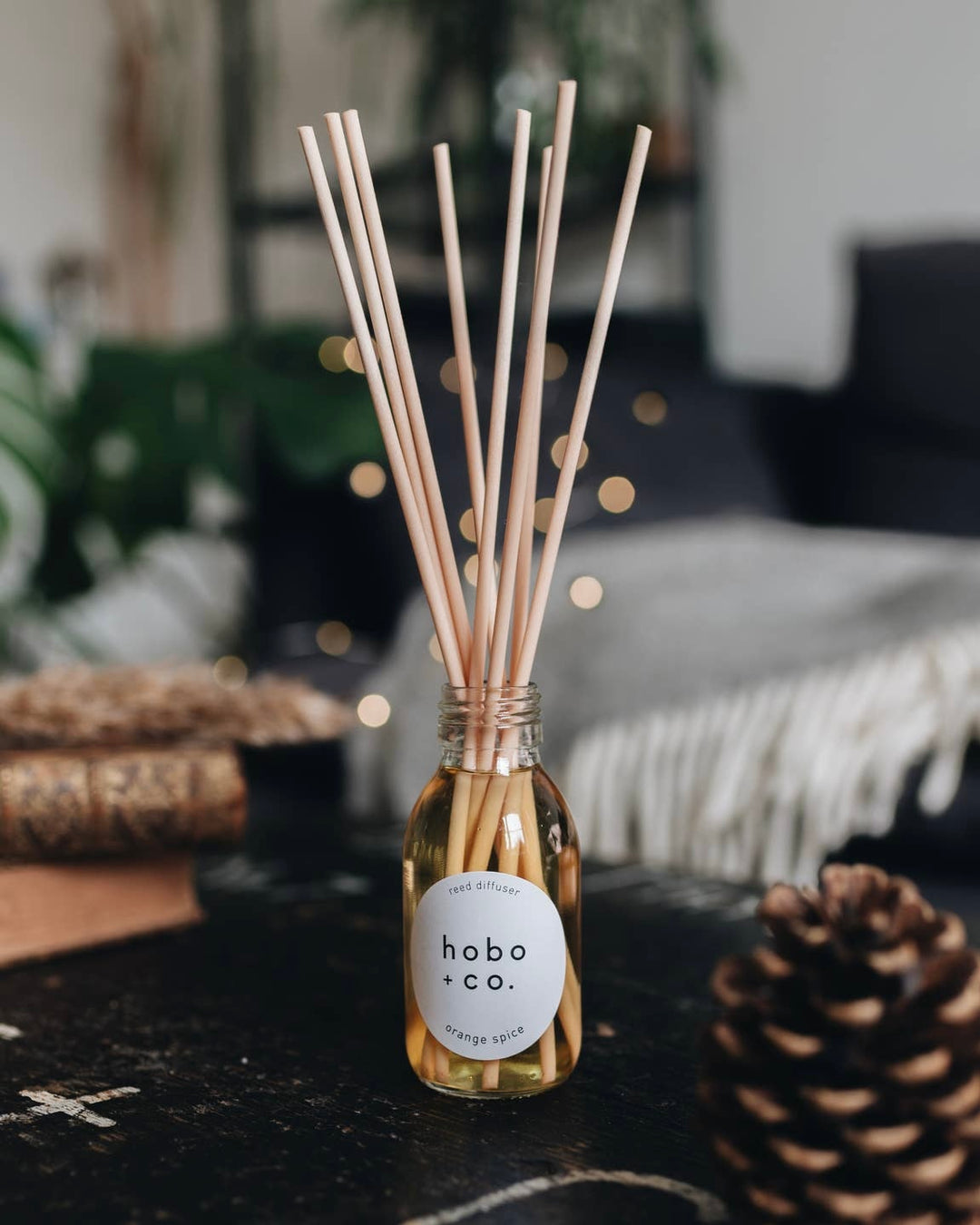 Hobo & Co. | Christmas Reed Diffuser | Orange Spice