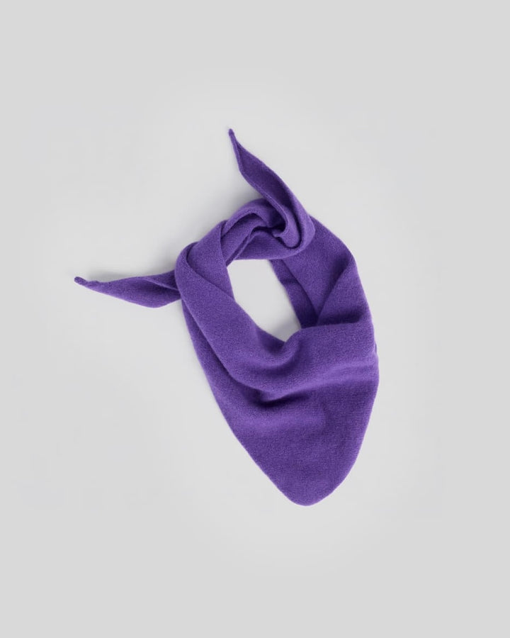 Le Bonnet | Bandana | Grape