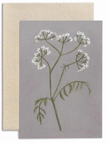 Gemma Koomen | Greeting Card | Cow Parsley