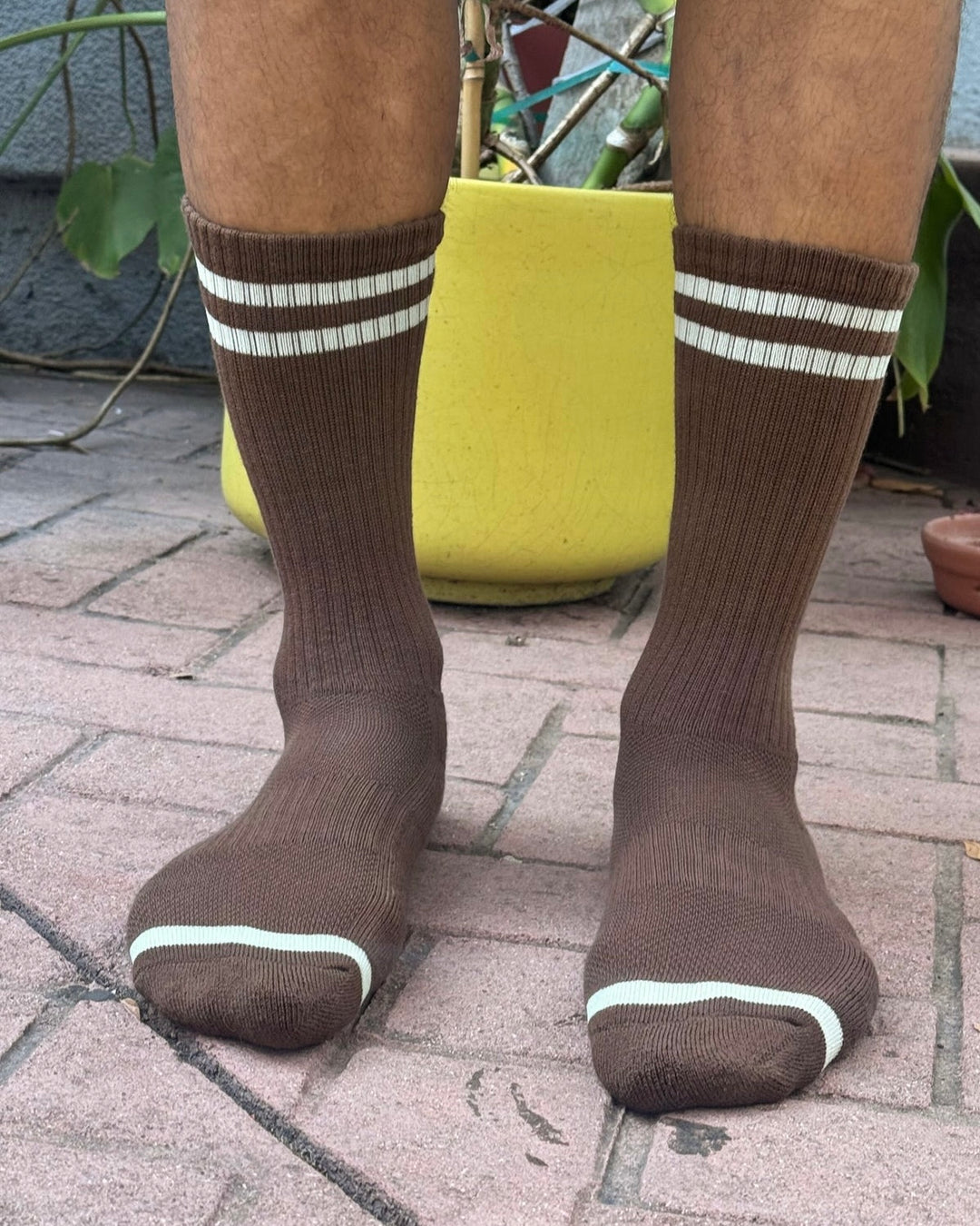 Le Bon Shoppe | Extended Boyfriend Socks | Wood