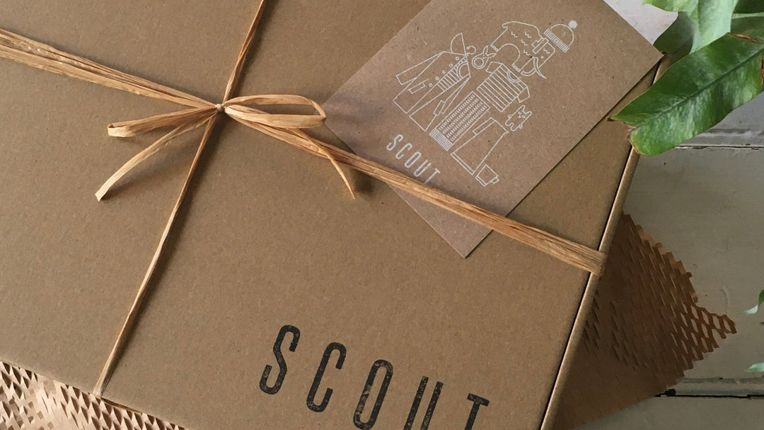 Kraft paper box with 'SCOUT' branding on a rustic wooden surface with a plant in the background.