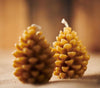 Beeswax Candles | Pinecone Candle | Regular size